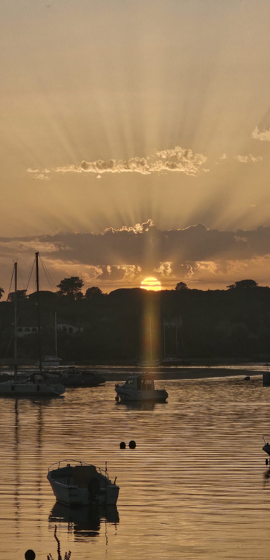 PHOTO-2026-04-09-17-52-15