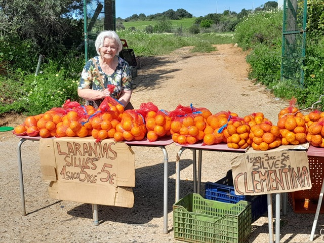 efec0cc2-7655-4aeb-86e6-8f23ecd815a7