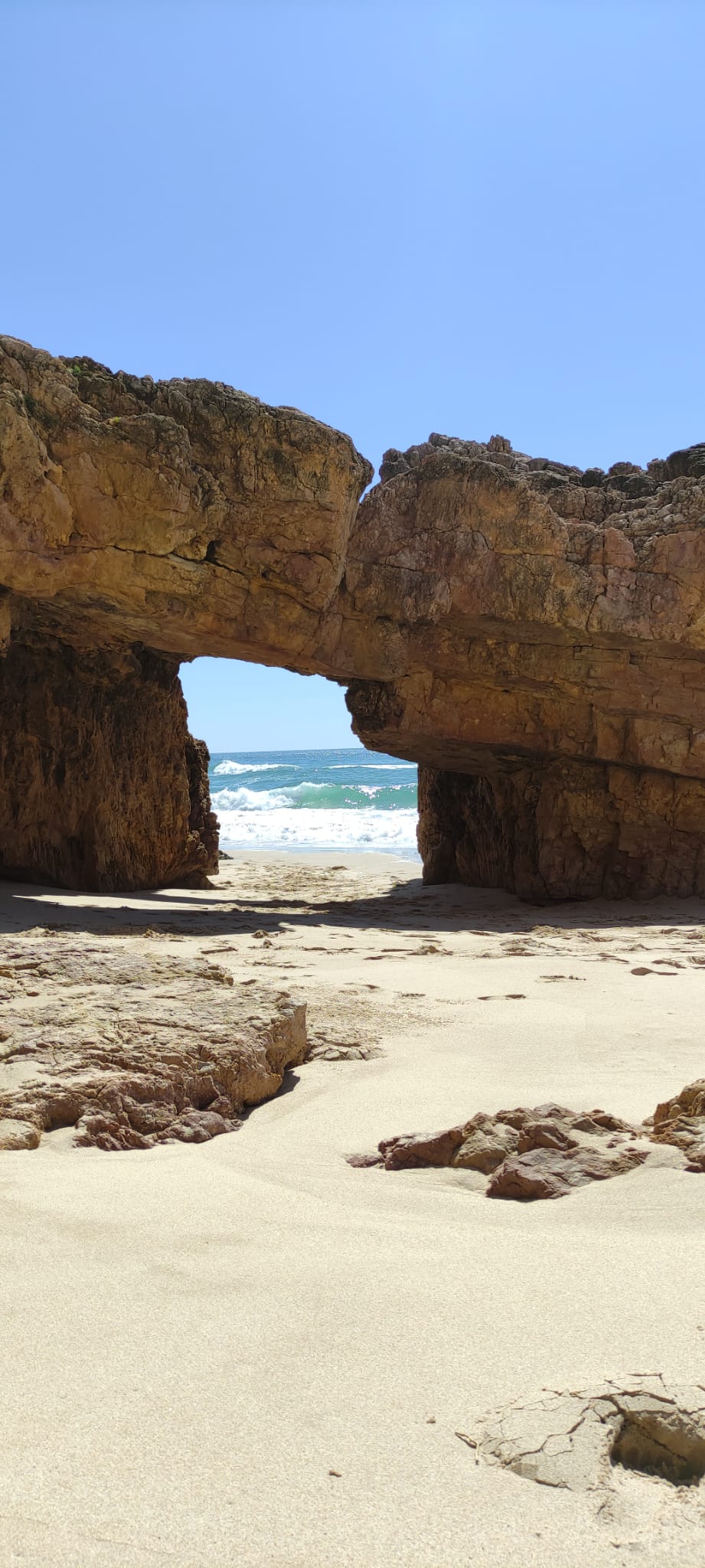 68f15495-af83-4f4c-84f5-7002a10ccdf1